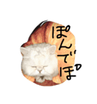 吾輩はてんくん14（個別スタンプ：1）