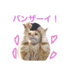 コテツスタンプ1（個別スタンプ：19）