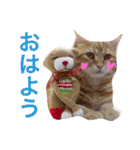 コテツスタンプ1（個別スタンプ：37）