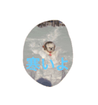 ペキニーズのぴぐもん君（個別スタンプ：8）