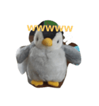 ペンギンペン太-2（個別スタンプ：3）