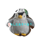 ペンギンペン太-2（個別スタンプ：4）