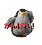 ペンギンペン太-2（個別スタンプ：7）