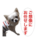 サンキューおっさんとゆかいな仲間達 50（個別スタンプ：7）