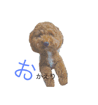 bokudai3（個別スタンプ：14）