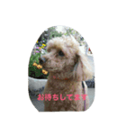 かのん！（個別スタンプ：2）