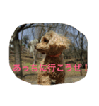 かのん！（個別スタンプ：5）