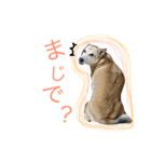 リッキー.（個別スタンプ：5）
