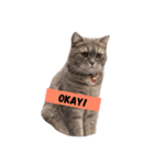 pepperisagoodboy（個別スタンプ：1）