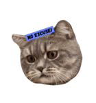 pepperisagoodboy（個別スタンプ：3）