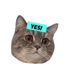 pepperisagoodboy（個別スタンプ：4）