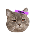 pepperisagoodboy（個別スタンプ：5）