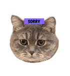 pepperisagoodboy（個別スタンプ：6）