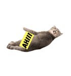 pepperisagoodboy（個別スタンプ：8）