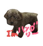 わたしのこだよ（個別スタンプ：1）