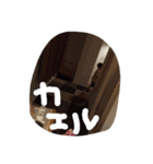 わたしのこだよ（個別スタンプ：2）