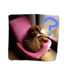 わたしのこだよ（個別スタンプ：6）