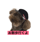 美白ゴルファーとトイプードルかりん君（個別スタンプ：4）