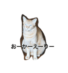 イクヲと仲間たちその2（個別スタンプ：3）