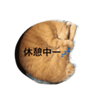 イクヲと仲間たちその2（個別スタンプ：6）