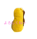 ぽんちゃんの挨拶（個別スタンプ：6）