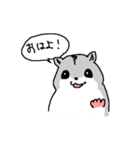 ハムスターのまあとるい（個別スタンプ：1）