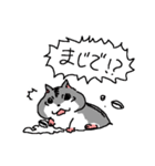 ハムスターのまあとるい（個別スタンプ：8）