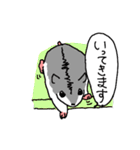 ハムスターのまあとるい（個別スタンプ：13）