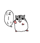 ハムスターのまあとるい（個別スタンプ：16）