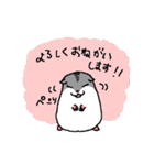 ハムスターのまあとるい（個別スタンプ：21）