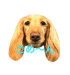 フクとモモ（個別スタンプ：9）