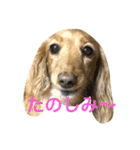フクとモモ（個別スタンプ：14）