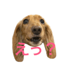 フクとモモ（個別スタンプ：15）