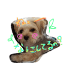 シオンくん♪（個別スタンプ：2）