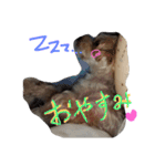 シオンくん♪（個別スタンプ：4）