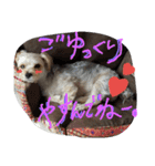 シオンくん♪（個別スタンプ：5）