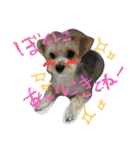 シオンくん♪（個別スタンプ：8）
