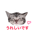 可愛すぎるニャンコ（個別スタンプ：3）