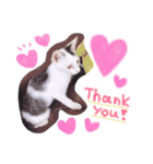 ひめにゃん♡ラブ（個別スタンプ：3）