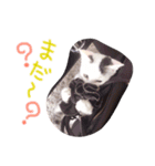 ひめにゃん♡ラブ（個別スタンプ：10）