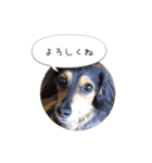 ルララスタンプ（個別スタンプ：1）