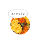 ルララスタンプ（個別スタンプ：4）