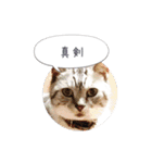 ルララスタンプ（個別スタンプ：7）