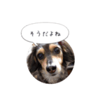 ルララスタンプ（個別スタンプ：11）