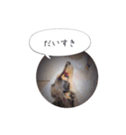 ルララスタンプ（個別スタンプ：13）