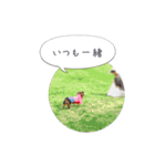 ルララスタンプ（個別スタンプ：19）