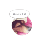 ルララスタンプ（個別スタンプ：28）