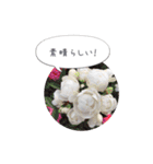 ルララスタンプ（個別スタンプ：31）