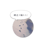 ルララスタンプ（個別スタンプ：33）