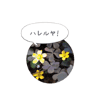 ルララスタンプ（個別スタンプ：35）